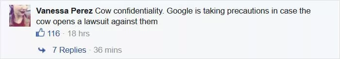 google-blurred-cow-face-privacy-31