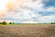 landscape-cultivated-ground_1232-859-bcdfed77