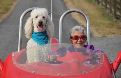 אישה בת 91 הלכה לעולמה לאחר שוויתרה על הכימו ויצאה למסע מחוף לחוף בנוסח תלמה ולואיז